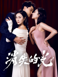 消失的光（30集全）程澄-紫橙资源网