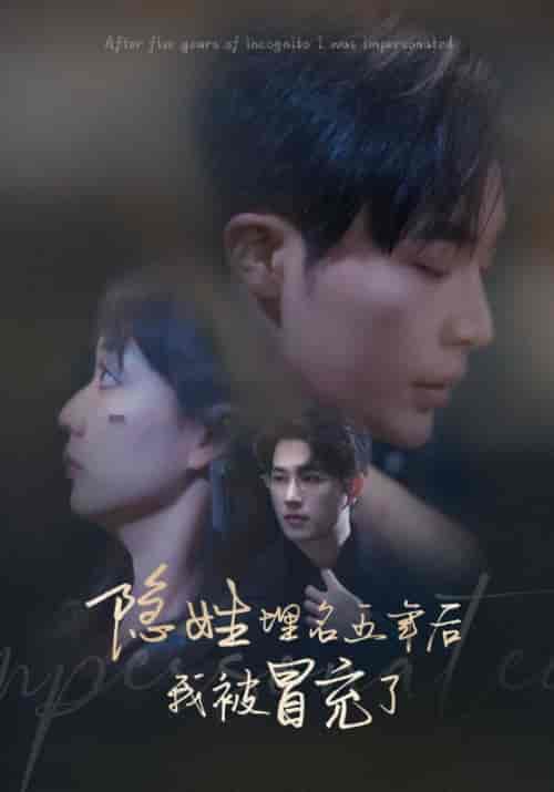 隐姓埋名五年后我被冒充了（97集全）陆靳寒＆沈棠-紫橙资源网