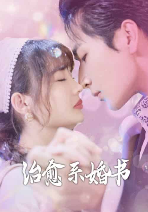 治愈系婚书（80集全） - 紫橙短剧