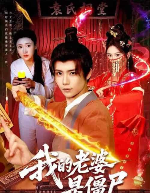 我的老婆是僵尸（118集全）谢蕊伊＆夏锦沐-紫橙资源网