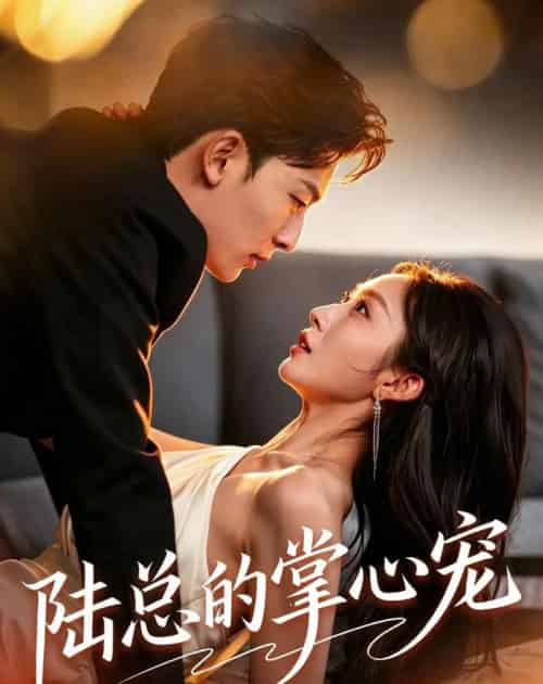 陆总的掌心宠（85集全）宋佳音＆朱永强-紫橙资源网