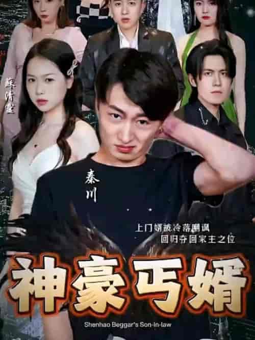 神豪丐婿（107集）-紫橙资源网