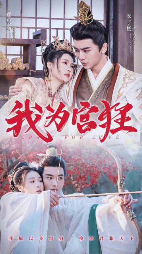 我为宫狂(59集全)安子杨&郑晨雨-紫橙资源网