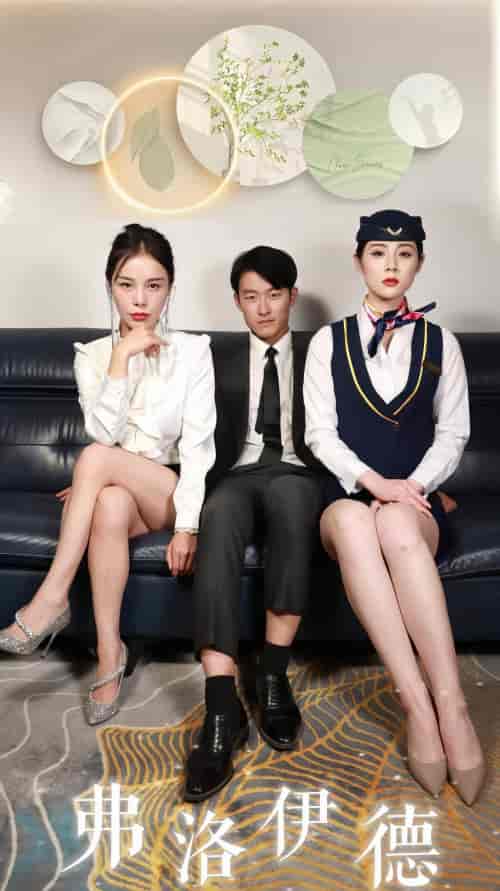 弗洛伊德（100集） - 紫橙短剧