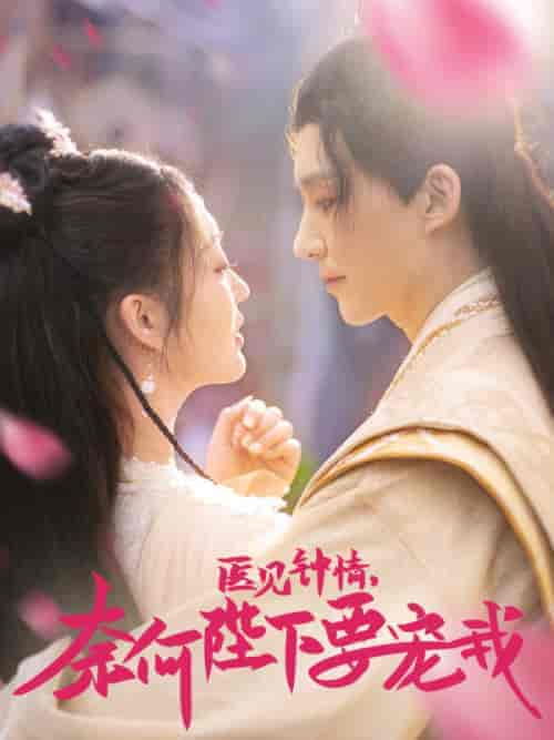 医见钟情，奈何陛下偏要宠我（80集）-紫橙资源网