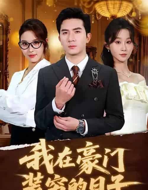 我在豪门装穷的日子（62集全）徐烯霁＆冯软软-紫橙资源网