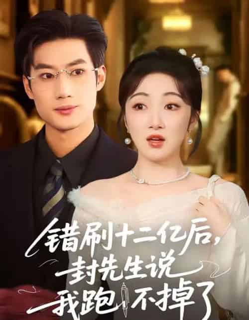 错刷十二亿后,封先生说我跑不掉了(80集全)肖洋&海依凡-紫橙资源网