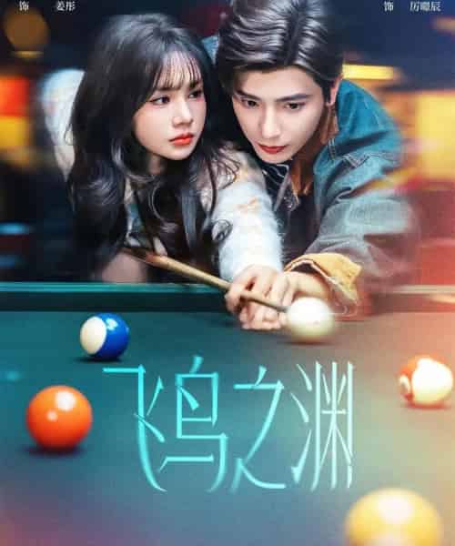 飞鸟之渊（67集全）何聪睿＆刘念-紫橙资源网