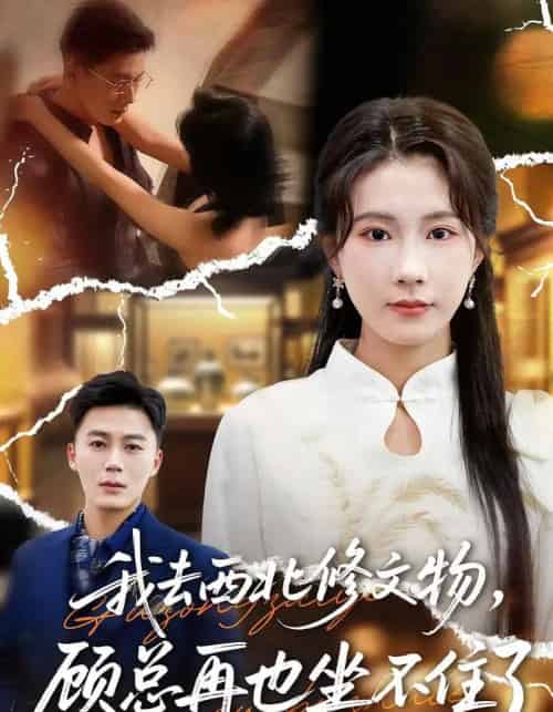 我去西北修文物,顾总再也坐不住了(46集全)曹嘉怡&戴金鳞-紫橙资源网