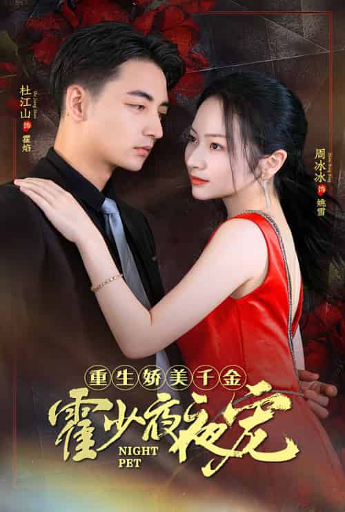 重生娇美千金霍少夜夜宠（82集）-紫橙资源网