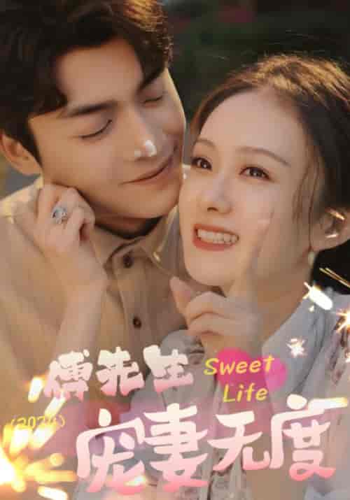 傅先生宠妻无度(94集)-紫橙资源网