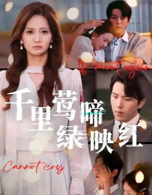 千里莺啼绿映红（63集全）罗嘉麒＆刘美娜-紫橙资源网