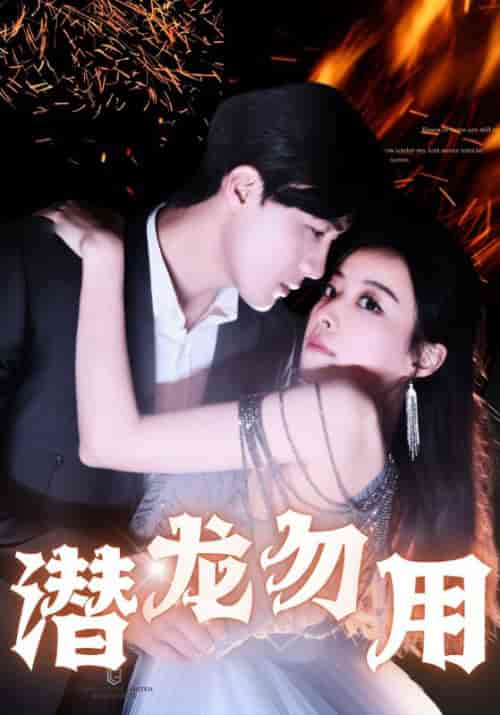 潜龙勿用（87集全）楚辰＆秦冰岚-紫橙资源网