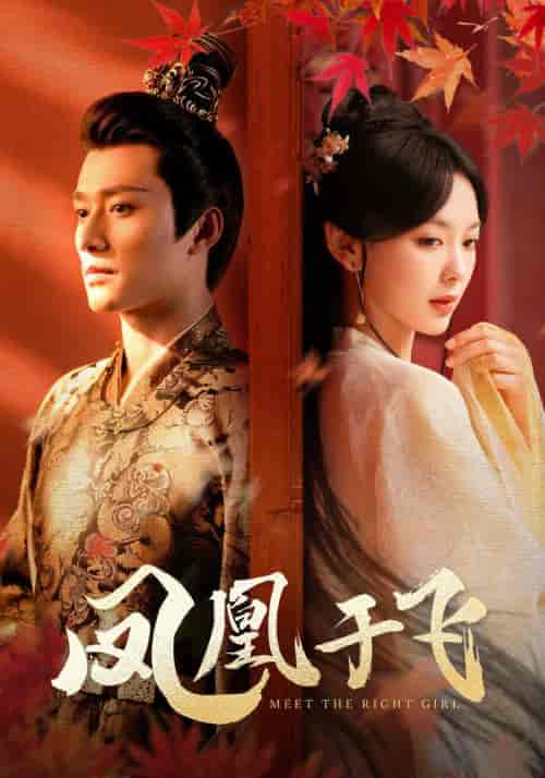 凤凰于飞（79集）-紫橙资源网