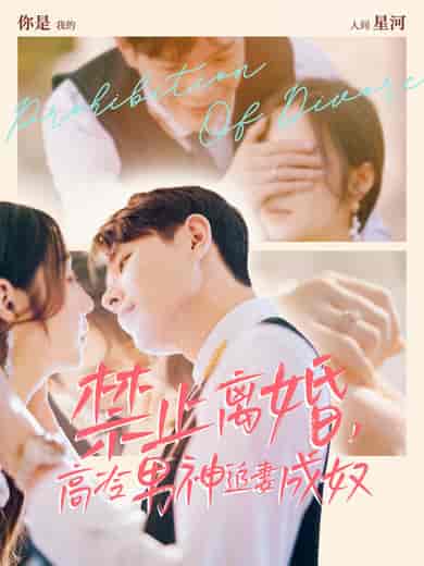 禁止离婚，高冷男神追妻成奴（57集全）王鑫＆秦语喃 - 紫橙短剧