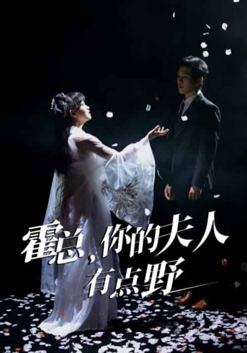 霍总，你的夫人有点野（51集全）霍君霆＆江小宁 - 紫橙短剧