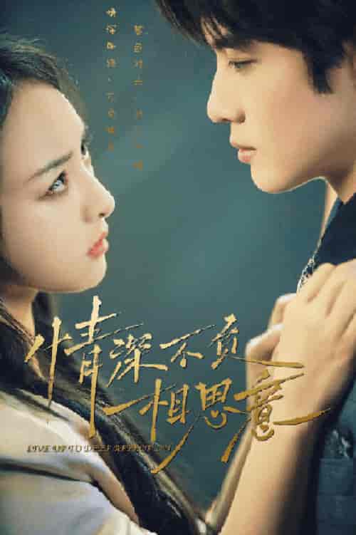 情深不负相思意（90集）索菲-紫橙资源网