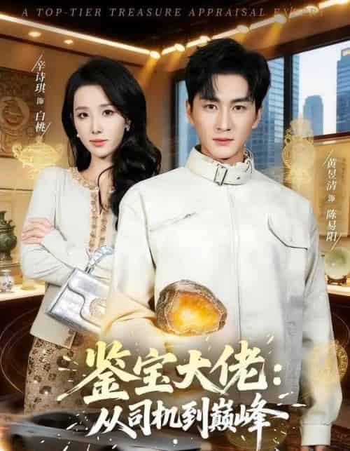鉴宝大佬： 从司机到巅峰（80集全）黄昱清＆辛诗琪-紫橙资源网