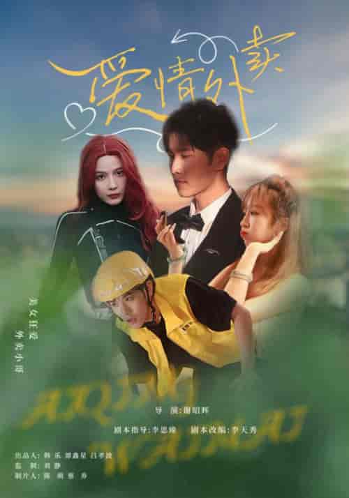 爱情外卖（31集全）卫大宝＆苏敏-紫橙资源网