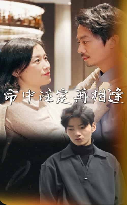 命中注定再相逢（39集全）-紫橙资源网