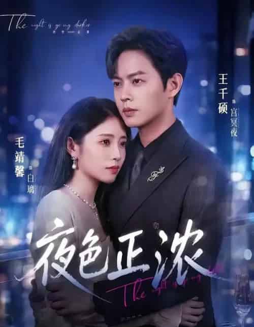 夜色正浓（65集全）王千硕＆毛靖馨-紫橙资源网