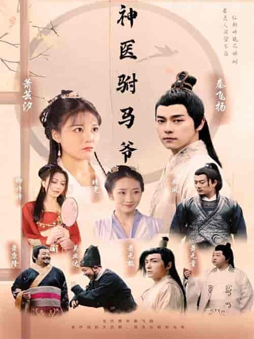 神医驸马爷(80集)穿越剧-紫橙资源网