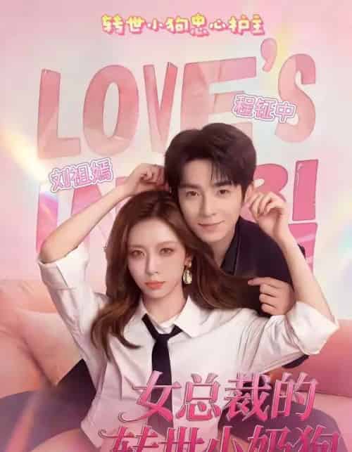 女总裁的转世小奶狗（30集全）程钲中＆刘祖嫣-紫橙资源网