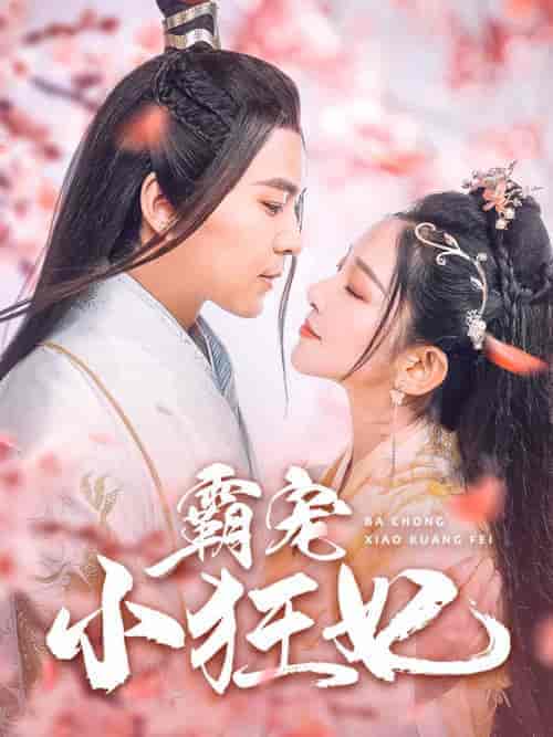 霸宠小狂妃（32集全）-紫橙资源网