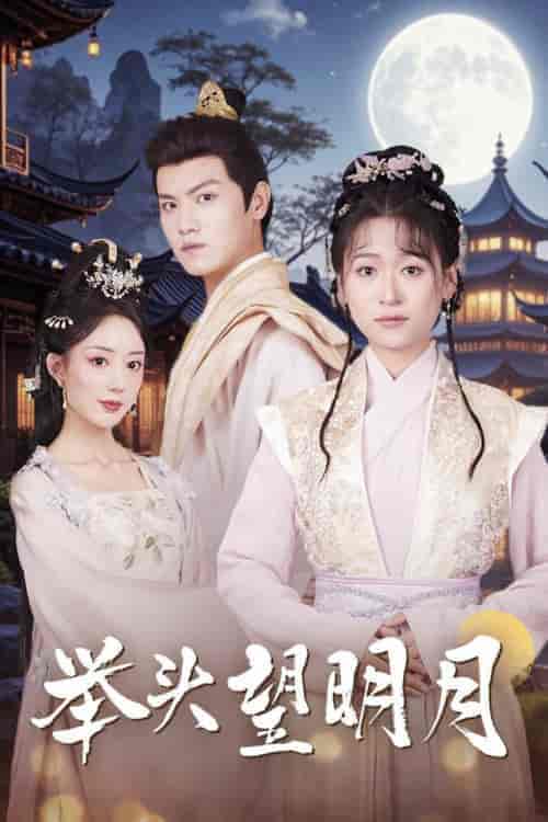 举头望明月(73集)王宇峰-紫橙资源网
