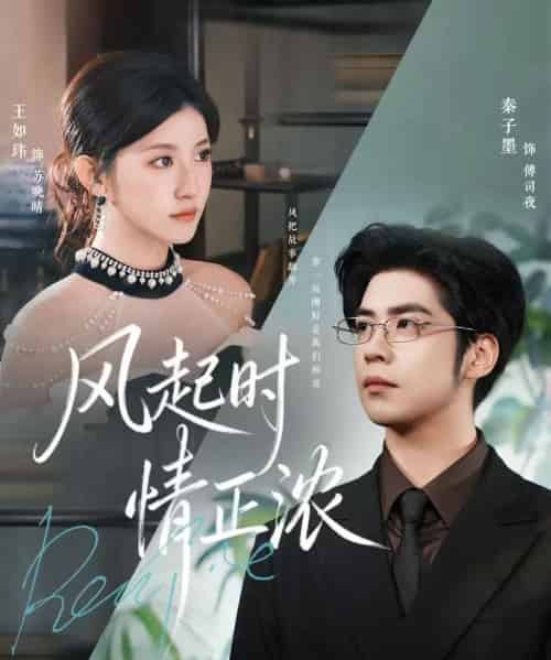 风起时情正浓（79集全）秦子墨＆王如玮＆洪乔-紫橙资源网