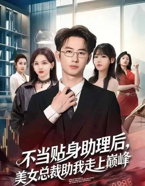 不当贴身助理后，美女总裁助我走上巅峰（79集全）马子超＆杨林涛（杨桃）-紫橙资源网