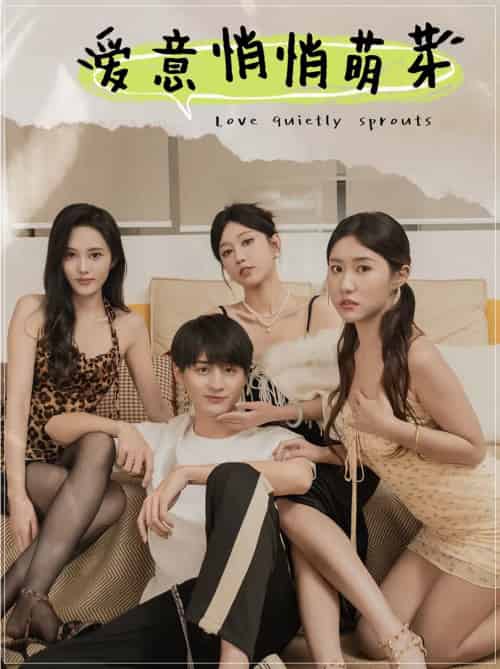 爱意悄悄萌芽＆和她们的命运羁绊（30集）擦边剧-紫橙资源网
