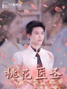 桃花医圣（177集全）-紫橙资源网