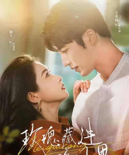 玫瑰藏进晚风里(68集全)王名扬&崔十一-紫橙资源网