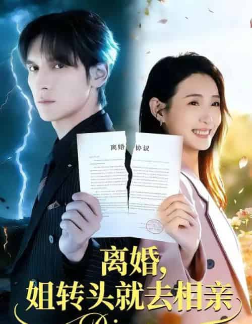 离婚，姐转头就去相亲（80集全）郧怡静＆于散-紫橙资源网