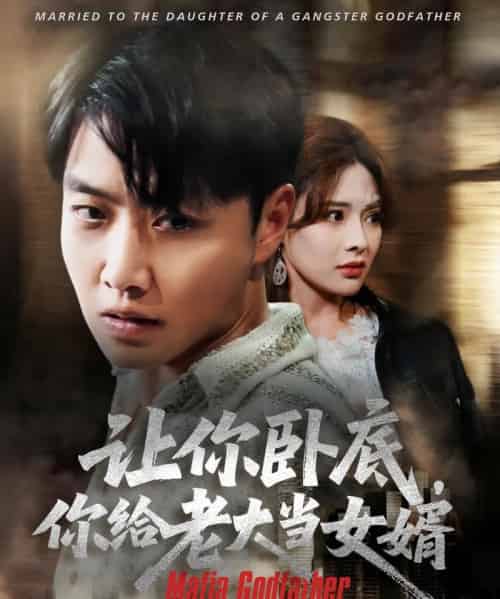 让你卧底你给老大当女婿（75集）羽佳-紫橙资源网