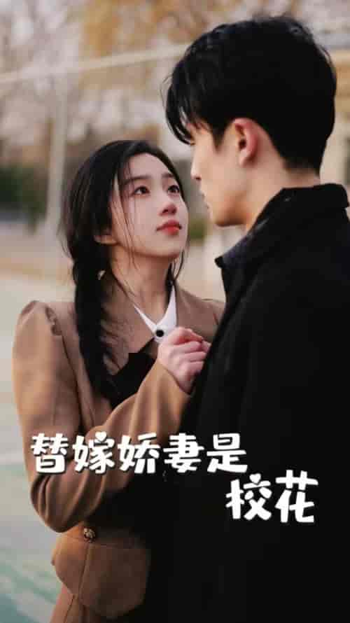 替嫁娇妻是校花(66集)-紫橙资源网