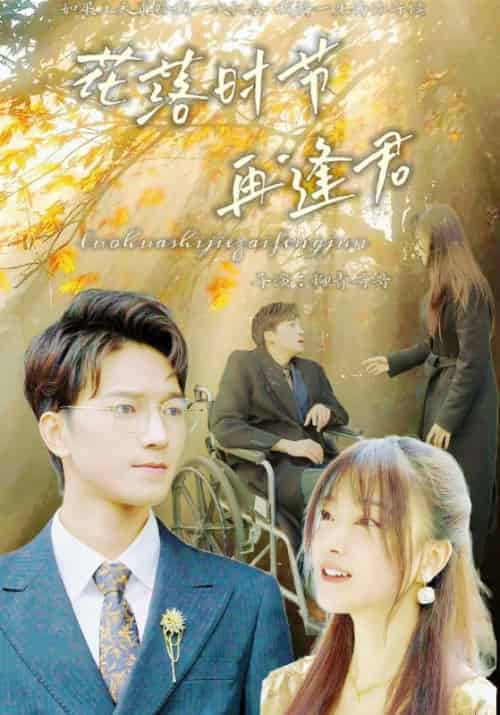 花落时节再逢君（82集全）季廷琛＆陆芊芊-紫橙资源网