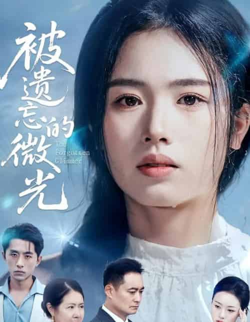 被遗忘的微光（48集）-紫橙资源网
