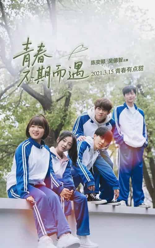 青春不期而遇（50集）陈奕颖-紫橙资源网