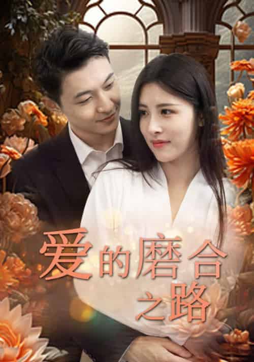 爱的磨合之路（73集全）南宫炎＆沐婉-紫橙资源网