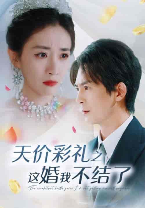 天价彩礼之这婚我不结了（32集全）林小北＆吴美娜-紫橙资源网