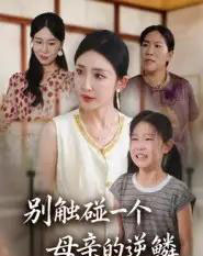 别触碰一个母亲的逆鳞（33集全）苏梦雅-紫橙资源网