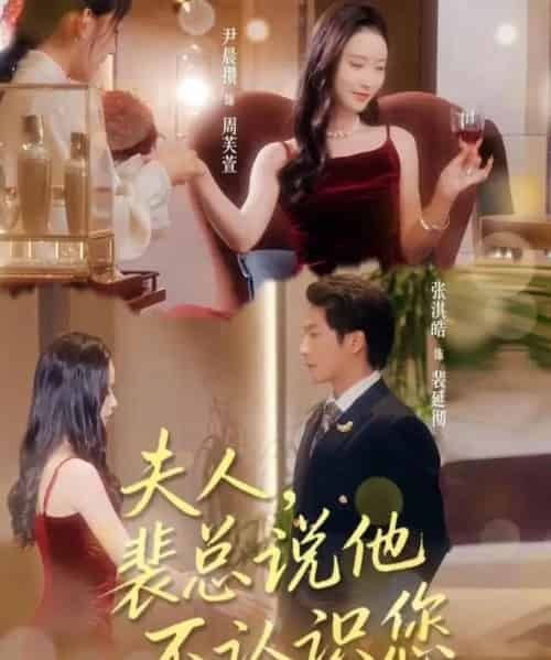 夫人裴总说他不认识您(75集全)张淇皓&尹晨攒-紫橙资源网