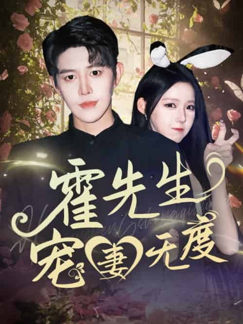 霍先生宠妻无度（87集全）王朝阳＆崔晓曼-紫橙资源网