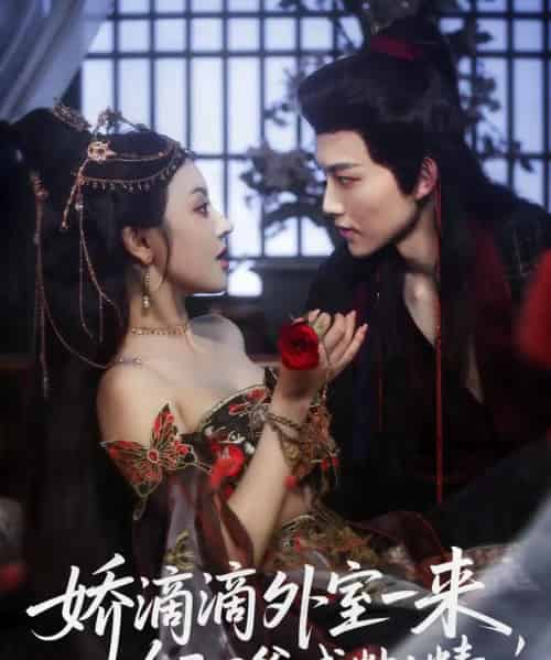 娇滴滴外室一来，冷面王爷成粘人精（107集全）周凌丰＆廖慧敏（冷巴）-紫橙资源网