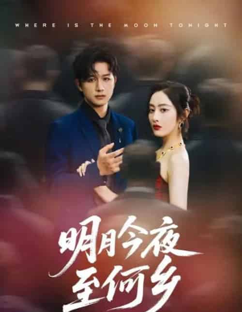 明月今夜至何乡（70集）-紫橙资源网