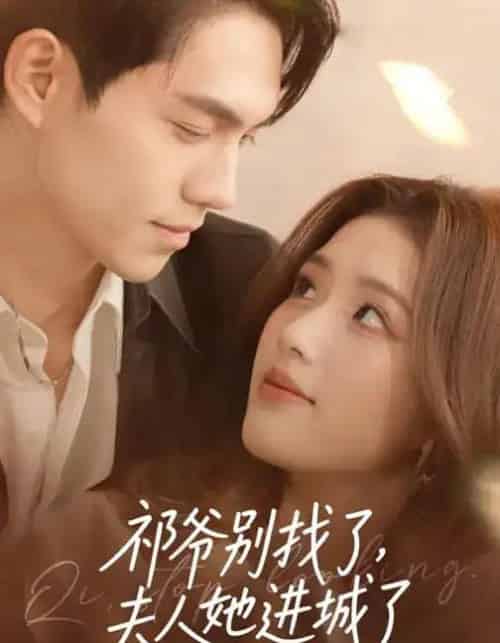 祁爷别找了，夫人她进城了（70集全）林瑞淇＆徐汇强-紫橙资源网
