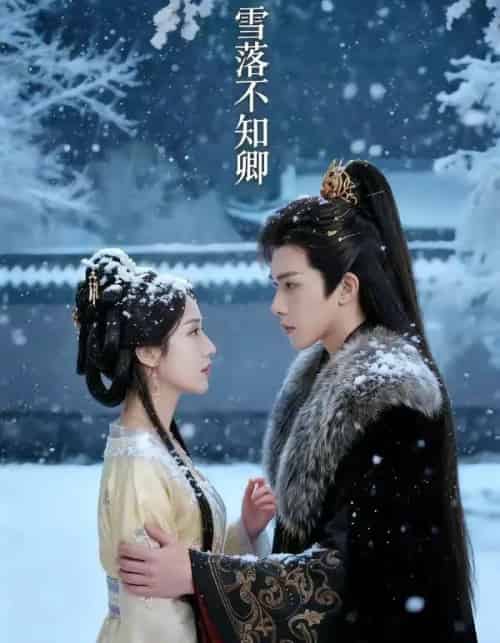 雪落不知卿（62集全）AI-紫橙资源网