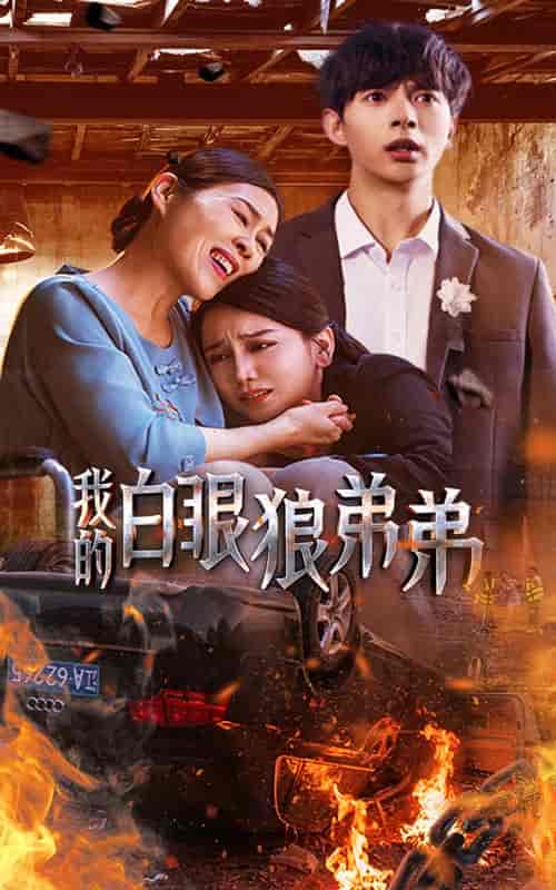 我的白眼狼弟弟（69集）-紫橙资源网
